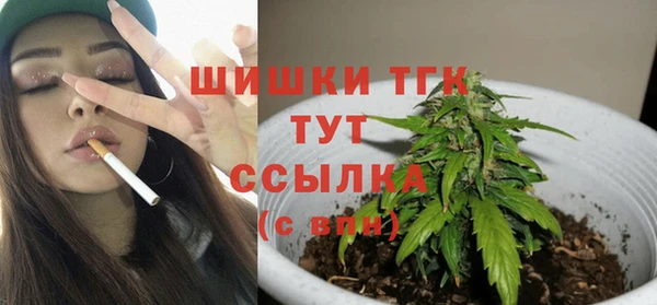 дживик Баксан