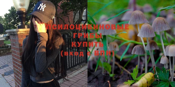 дживик Баксан