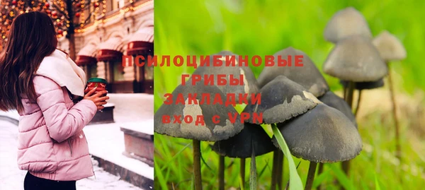 мяу мяу мука Балабаново