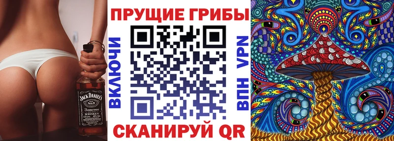 Псилоцибиновые грибы Psilocybine cubensis  Усть-Джегута 