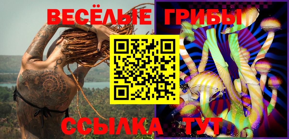 Галлюциногенные грибы Cubensis  Вход с VPN  Усть-Джегута 