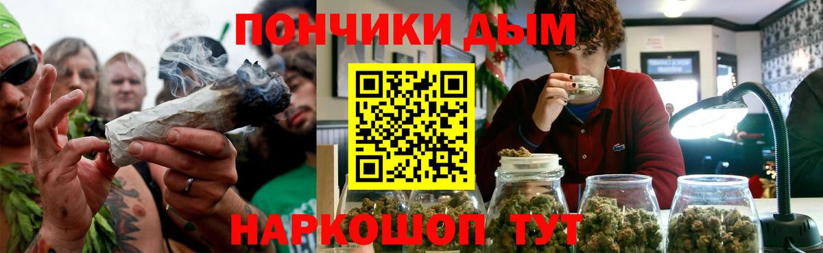 Шишки марихуана план  Вход с VPN  Бошки марихуана конопля  Конопля AK-47  Усть-Джегута 